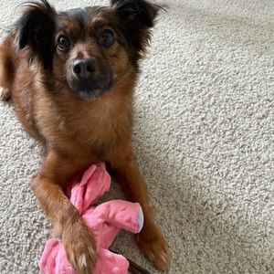 Meet your Posher, Ashley